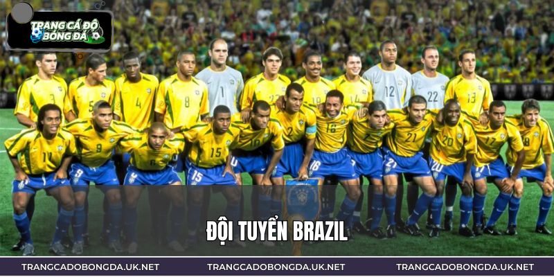Đội Tuyển Brazil – Đánh Giá Đội Hình Dự Kiến Và Chiến Thuật